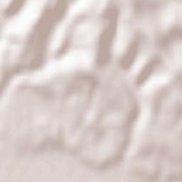 Heiligenkreuz im Lafnitztal Terrain Map