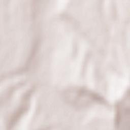 Copăcel Terrain Map