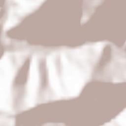 Comuna Corbu Terrain Map