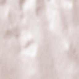 Bârgăuani Terrain Map