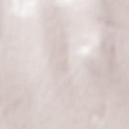 Ruginoasa Terrain Map