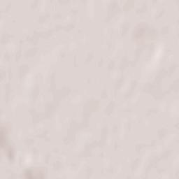 Pildești Terrain Map