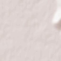 Buruienești Terrain Map