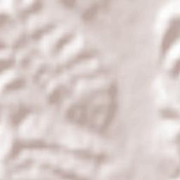 Heiligenkreuz am Waasen Terrain Map