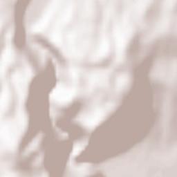 Comuna Vadu Crişului Terrain Map