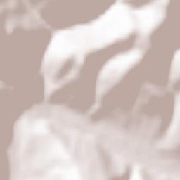 Comuna Negreni Terrain Map