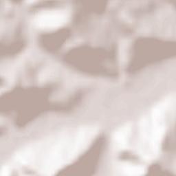 Cuzăplac Terrain Map