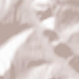 Comuna Ţaga Terrain Map