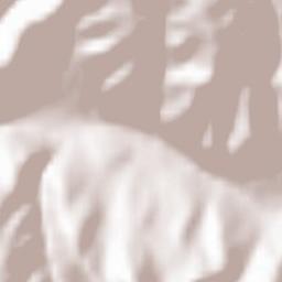 Meștera Terrain Map