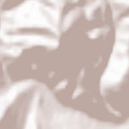 Stânceni Terrain Map