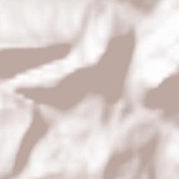 Salins-les-Bains Terrain Map