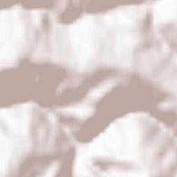 Preitenegg Terrain Map