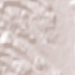 Pirching am Traubenberg Terrain Map