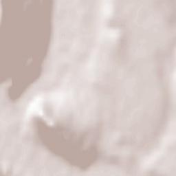 Municipiul Piatra-Neamţ Terrain Map