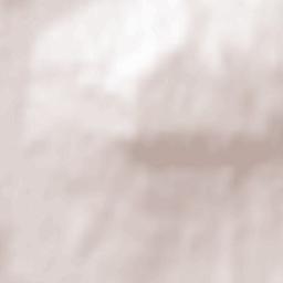 Comuna Scheia Terrain Map