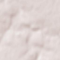 Chavagnes-en-Paillers Terrain Map