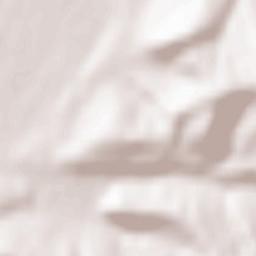 Rușii-Munți Terrain Map