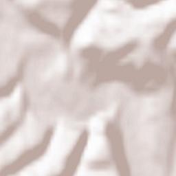 Gălăuţaş Terrain Map