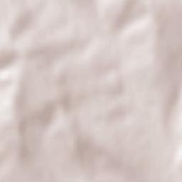 Pânceşti Terrain Map