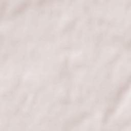 Falleron Terrain Map