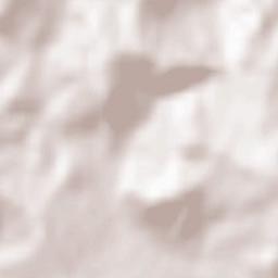 Chinteni Terrain Map