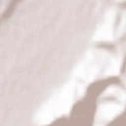 Lunca Mureșului Terrain Map