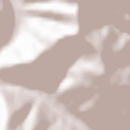 Comuna Bicazu Ardelean Terrain Map