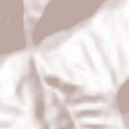 Comuna Taşca Terrain Map