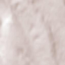 Rebricea Terrain Map