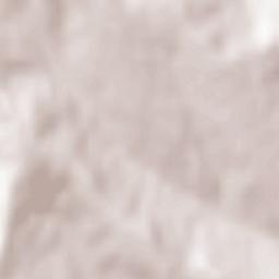 Emil Racoviță Terrain Map