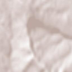 Cozmeşti Terrain Map