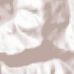 Bicazu Ardelean Terrain Map