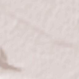 Săvineşti Terrain Map