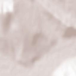 Dumeşti Terrain Map