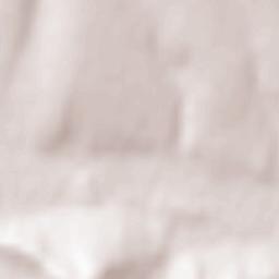 Todireşti Terrain Map