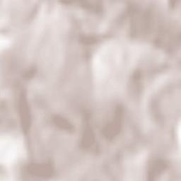 Brădicești Terrain Map