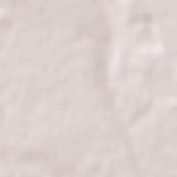 Tiraspol Terrain Map