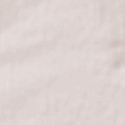 Berdiansk Raion Terrain Map