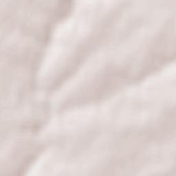 Saint-Paul-en-Pareds Terrain Map