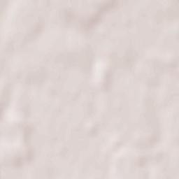 Saint-Martin-en-Bresse Terrain Map