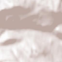 Rüeggisberg Terrain Map