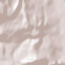 Riggisberg Terrain Map