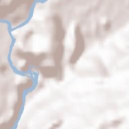 Tamins Terrain Map