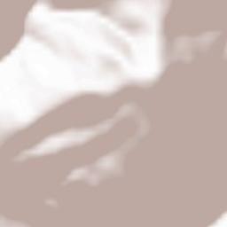 Radenthein Terrain Map