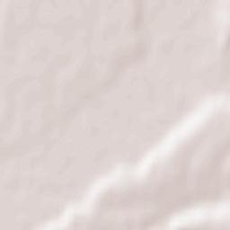 Husasău de Tinca Terrain Map