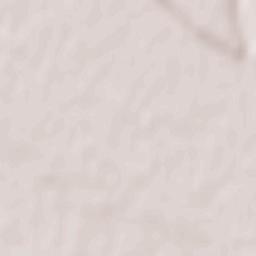 Comuna Zăneşti Terrain Map