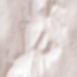 Comuna Podoleni Terrain Map