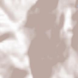 Rhäzüns Terrain Map