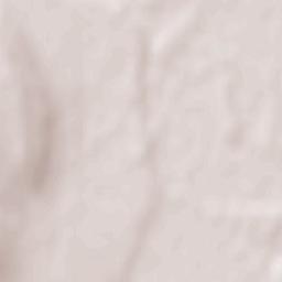 Râșești Terrain Map