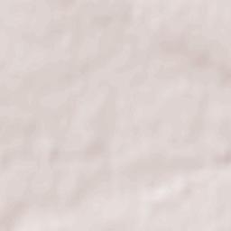 Commequiers Terrain Map